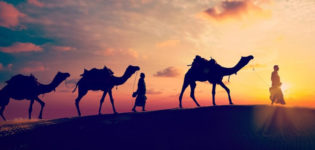 Rajasthan Tour Packages