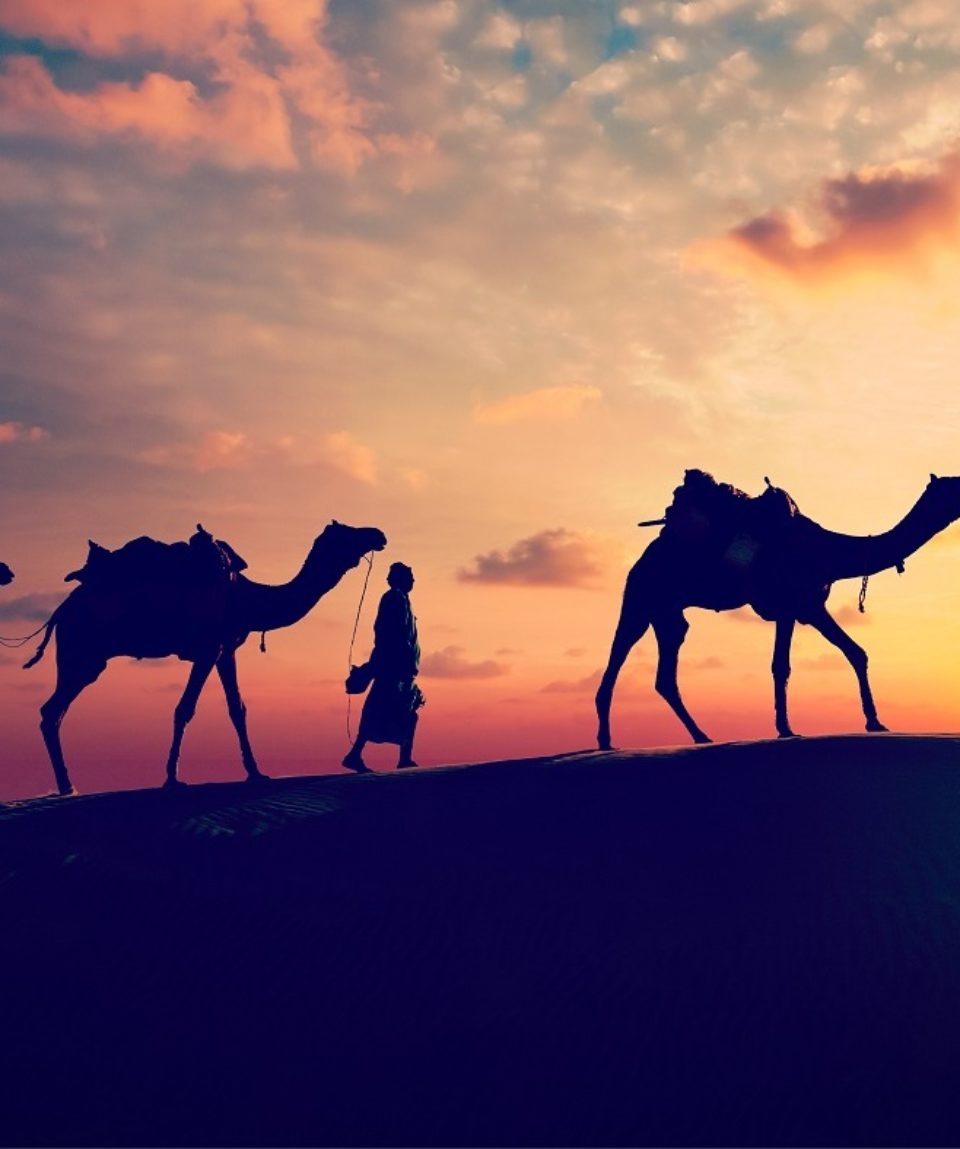 Rajasthan-Destination2