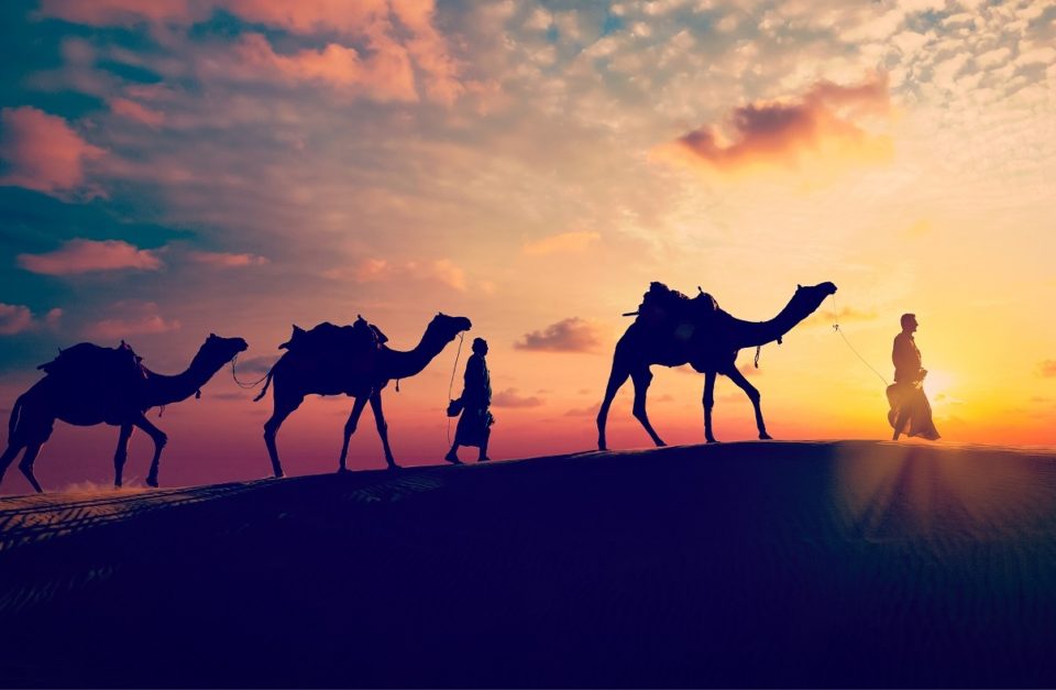 Rajasthan Tour & Travel Packages